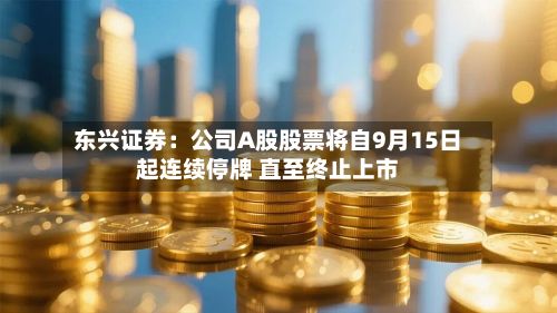 东兴证券:公司A股股票将自9月15日起连续停牌 直至终止上市-第2张图片