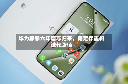 华为麒麟六年磨芯归来，韬定律重构迭代路径-第2张图片