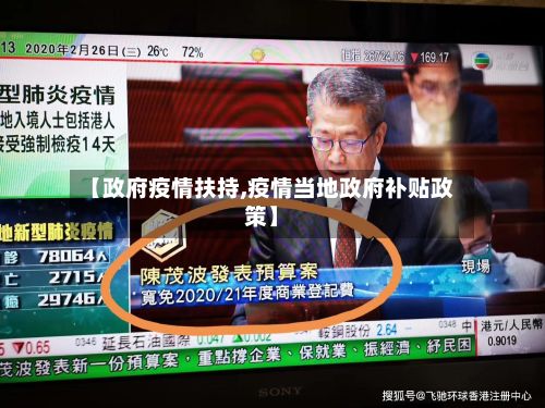 【政府疫情扶持,疫情当地政府补贴政策】-第2张图片