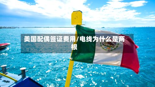 美国配偶签证费用/电线为什么是两根