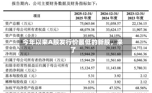 今年以来A股发行价最低的新股，来了