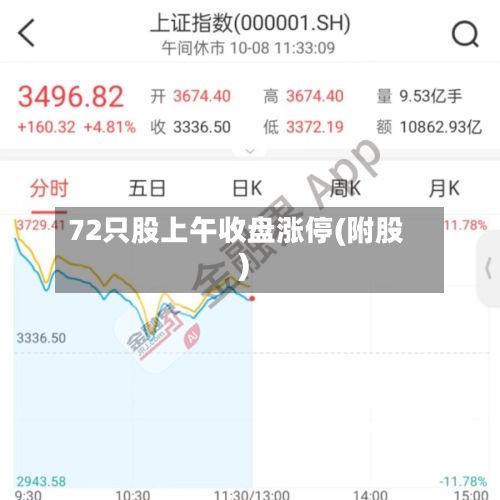 72只股上午收盘涨停(附股)