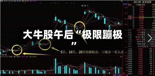 大牛股午后“极限蹦极”-第2张图片