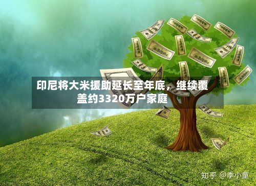 印尼将大米援助延长至年底，继续覆盖约3320万户家庭-第2张图片