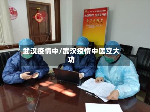 武汉疫情中/武汉疫情中医立大功-第2张图片