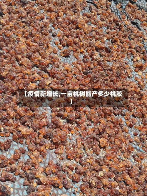 【疫情新增长,一亩桃树能产多少桃胶】-第3张图片