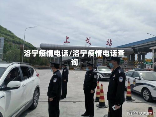 洛宁疫情电话/洛宁疫情电话查询
