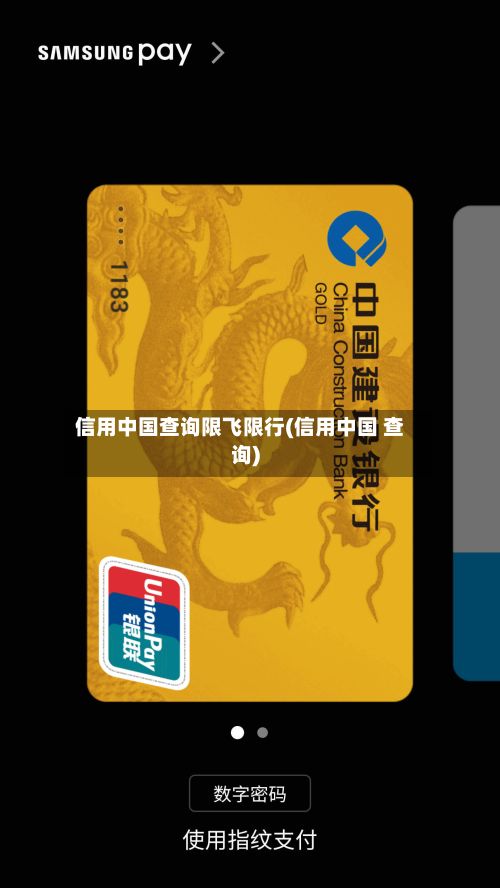 信用中国查询限飞限行(信用中国 查询)