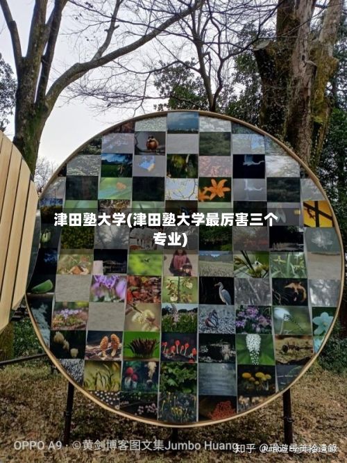 津田塾大学(津田塾大学最厉害三个专业)-第3张图片