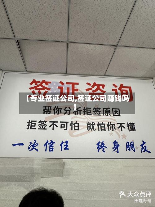 【专业签证公司,签证公司赚钱吗】-第3张图片