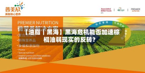 【油脂|黑海】黑海危机能否加速棕榈油弱现实的反转?-第1张图片