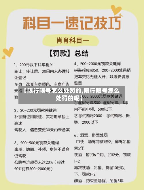 【限行限号怎么处罚的,限行限号怎么处罚的呢】