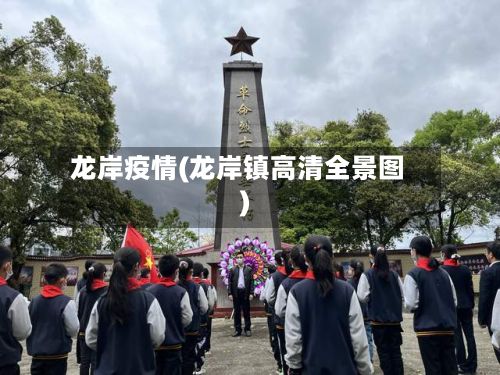 龙岸疫情(龙岸镇高清全景图)-第2张图片