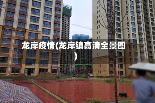 龙岸疫情(龙岸镇高清全景图)