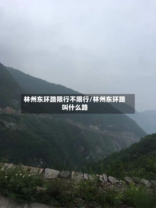 林州东环路限行不限行/林州东环路叫什么路