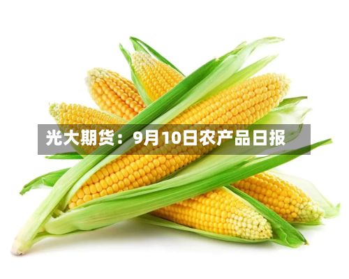 光大期货:9月10日农产品日报-第3张图片