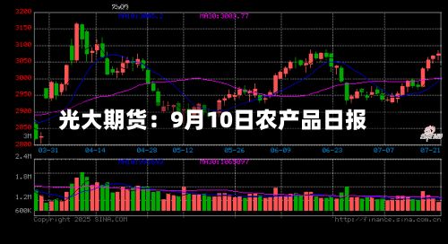 光大期货:9月10日农产品日报-第1张图片