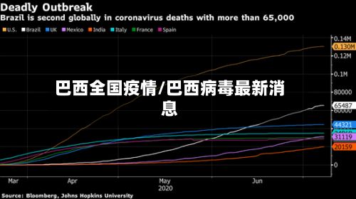 巴西全国疫情/巴西病毒最新消息-第1张图片