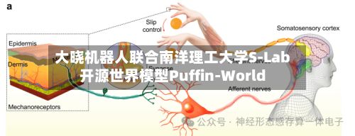 大晓机器人联合南洋理工大学S-Lab开源世界模型Puffin-World-第2张图片