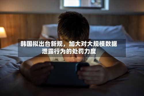 韩国拟出台新规,加大对大规模数据泄露行为的处罚力度