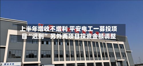 上半年增收不增利 平安电工一募投项目“迟到” 另外两项目投资金额调整-第2张图片