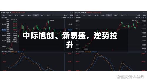 中际旭创、新易盛，逆势拉升-第3张图片