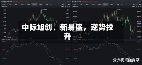 中际旭创、新易盛，逆势拉升