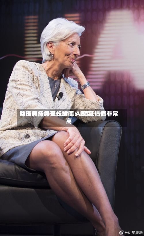 欧洲央行行长拉加德:费用
冲击将持续更长时间 AI领域估值非常高